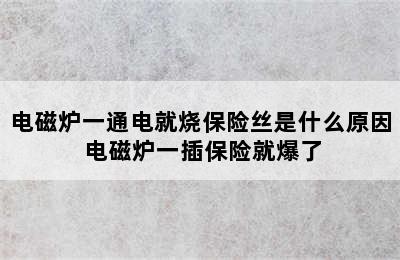 电磁炉一通电就烧保险丝是什么原因 电磁炉一插保险就爆了